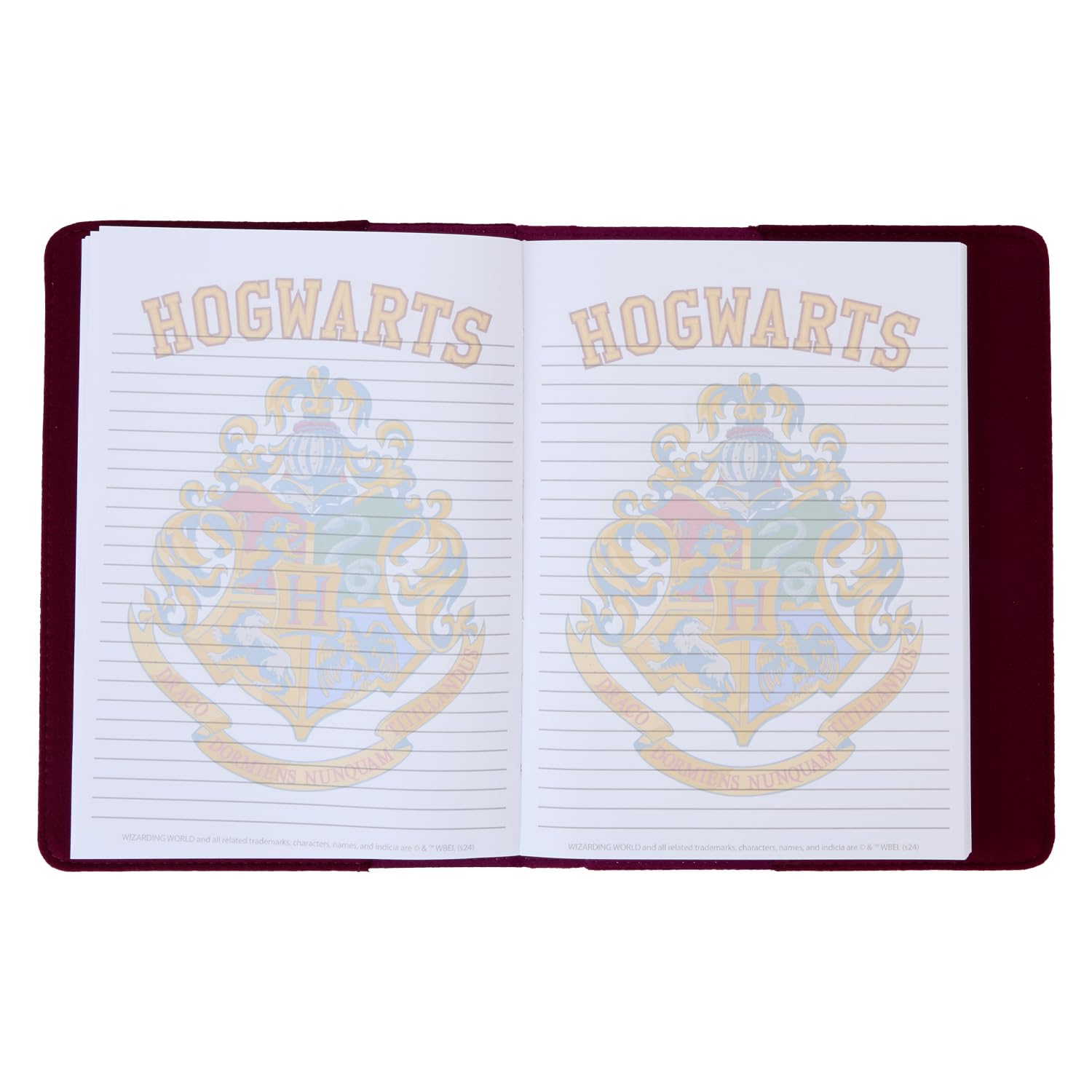Loungefly Harry Potter Journal