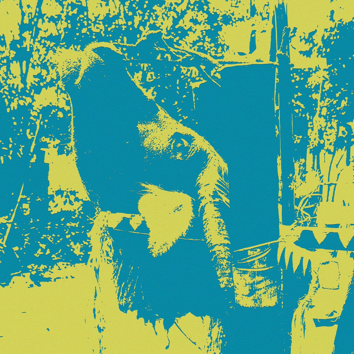 Gongs of the Bahnar: a Buffalo Sacrifice Ceremony
