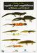 Guide to the Reptiles and Amphibians of Britain and Ireland
