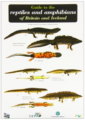 Guide to the Reptiles and Amphibians of Britain and Ireland