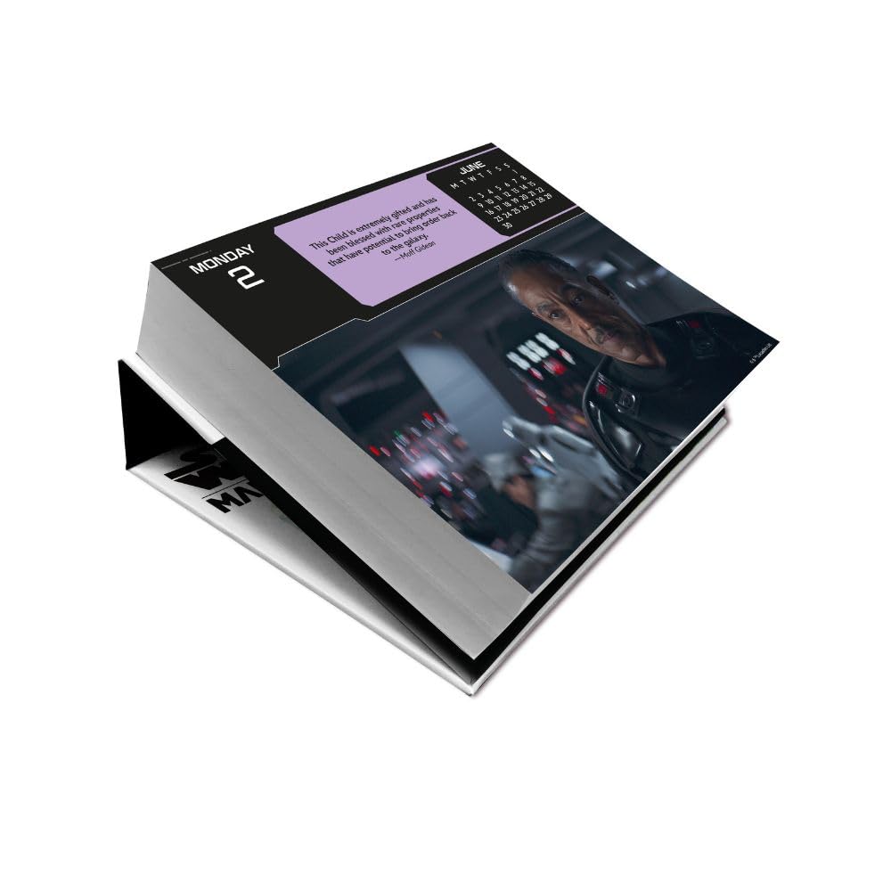 2025 Calendar Star Wars The Mandalorian Page to View Block Desk Calendar Official Product: Original Danilo-Tagesabreißkalender
