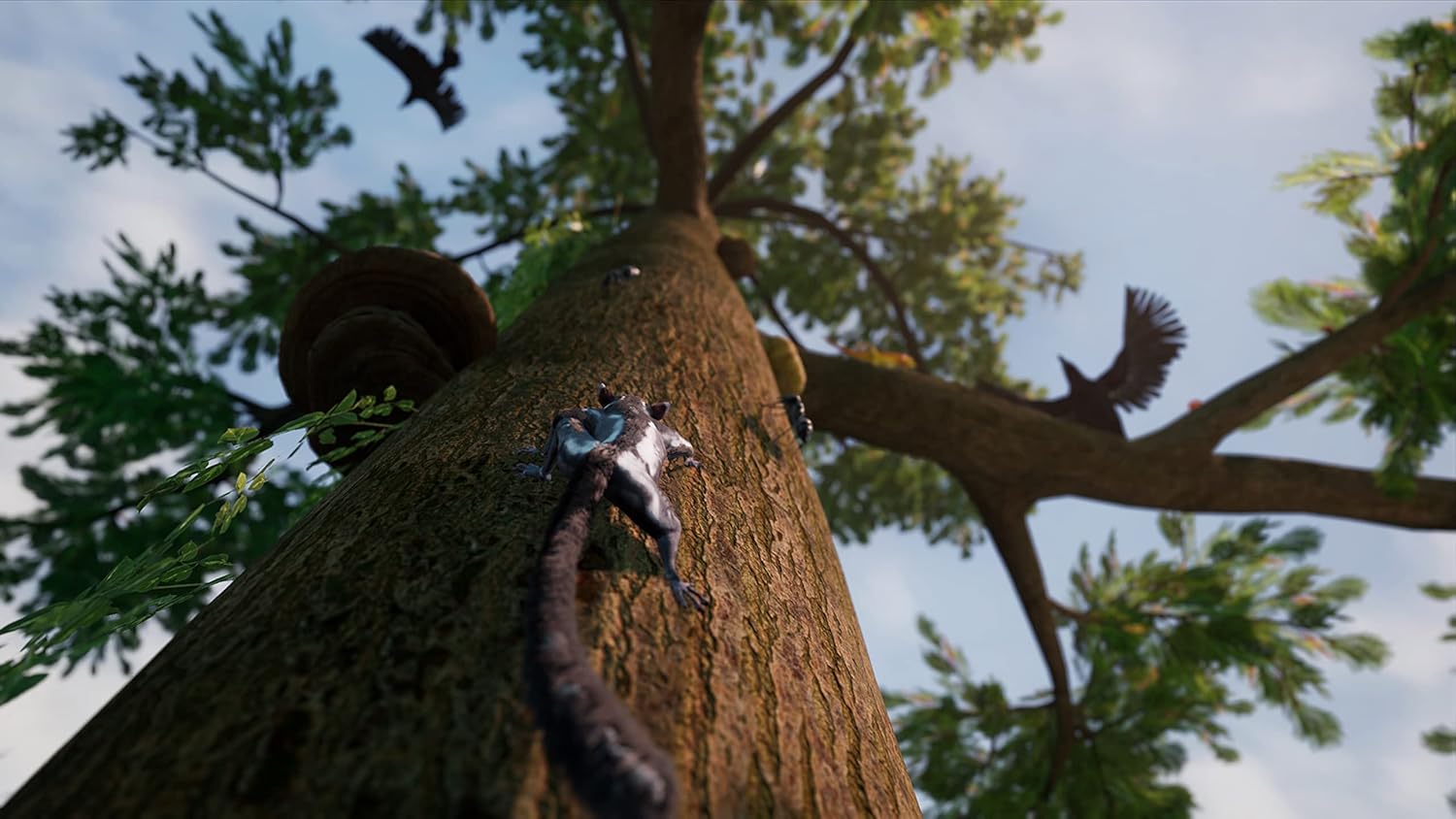 Away The Survival Series PlayStation 4