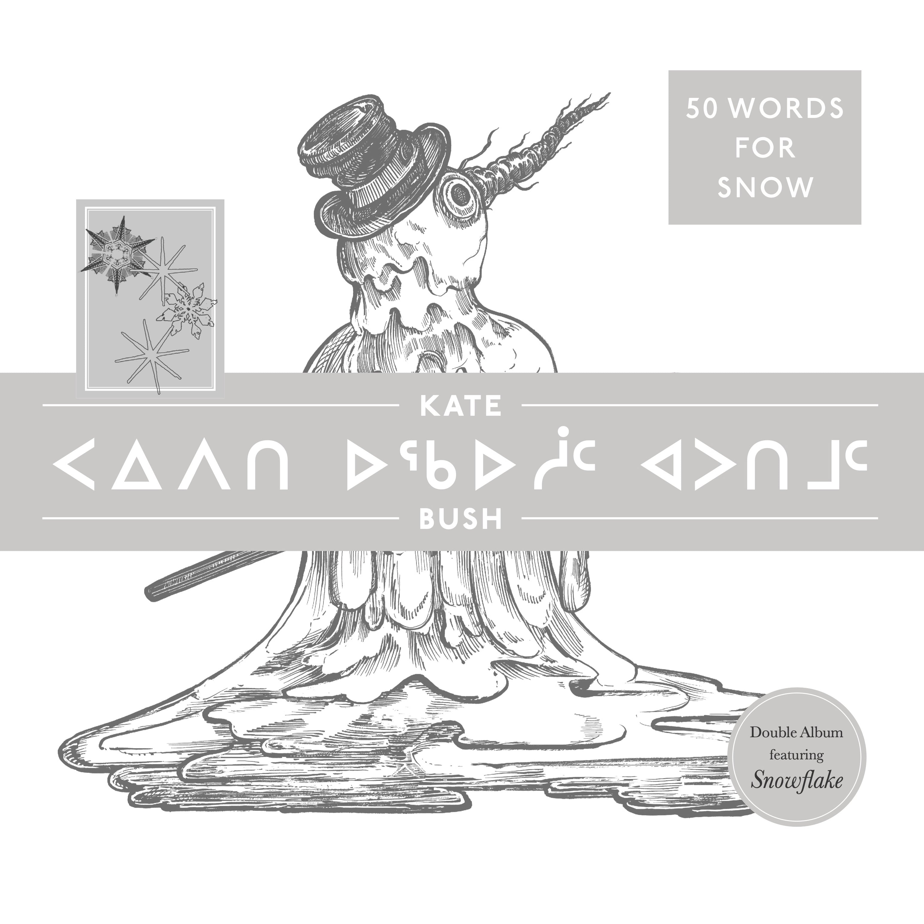 50 Words for Snow (Polar Edition)