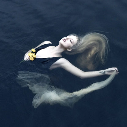 Silent Chamber, Noisy Heart