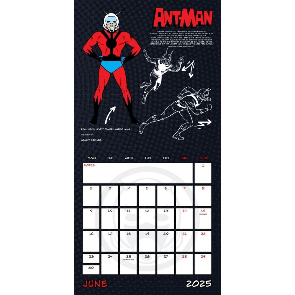 Marvel Comics – Offizieller Kalender 2025: Original Danilo-Kalender   (Wall-Kalender
