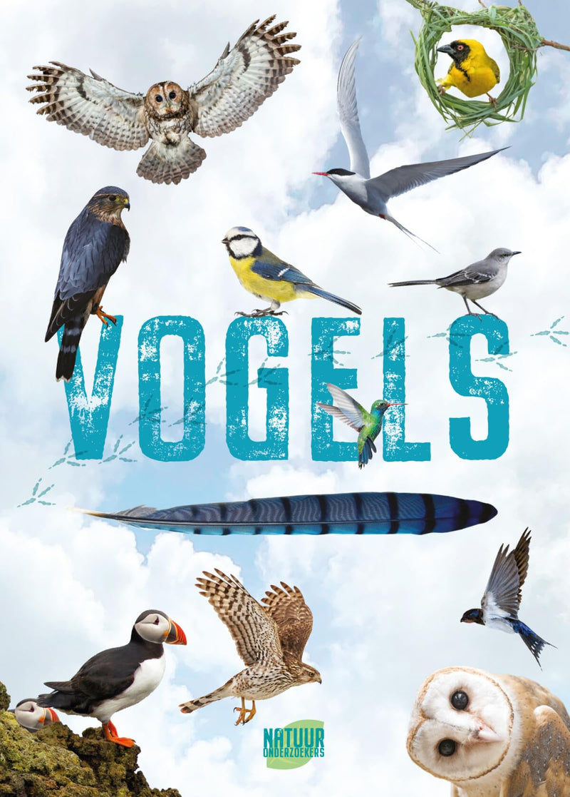 Vogels - Gids en Natuurdagboek voor Kinderen