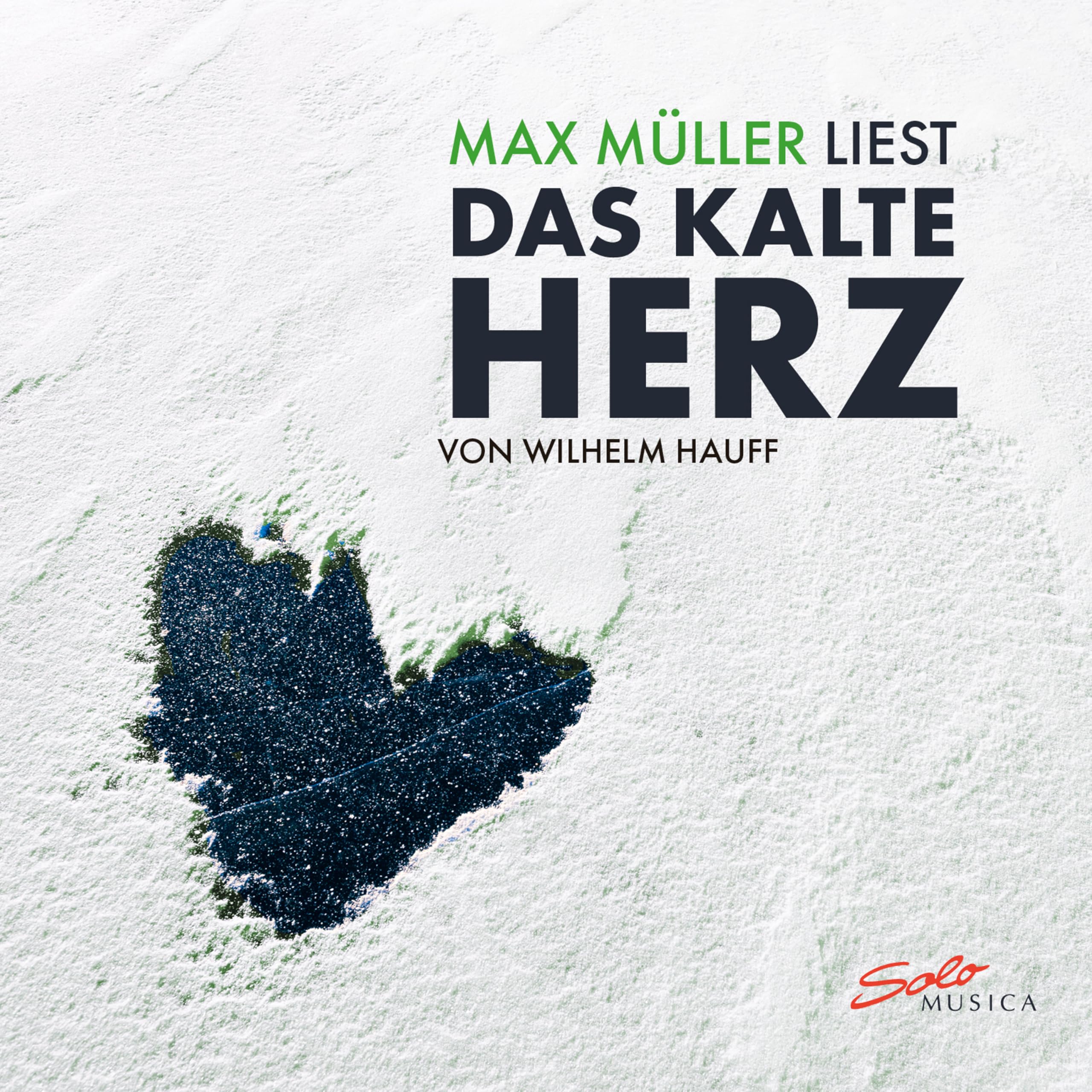 Max Müller liest Das Kalte Herz