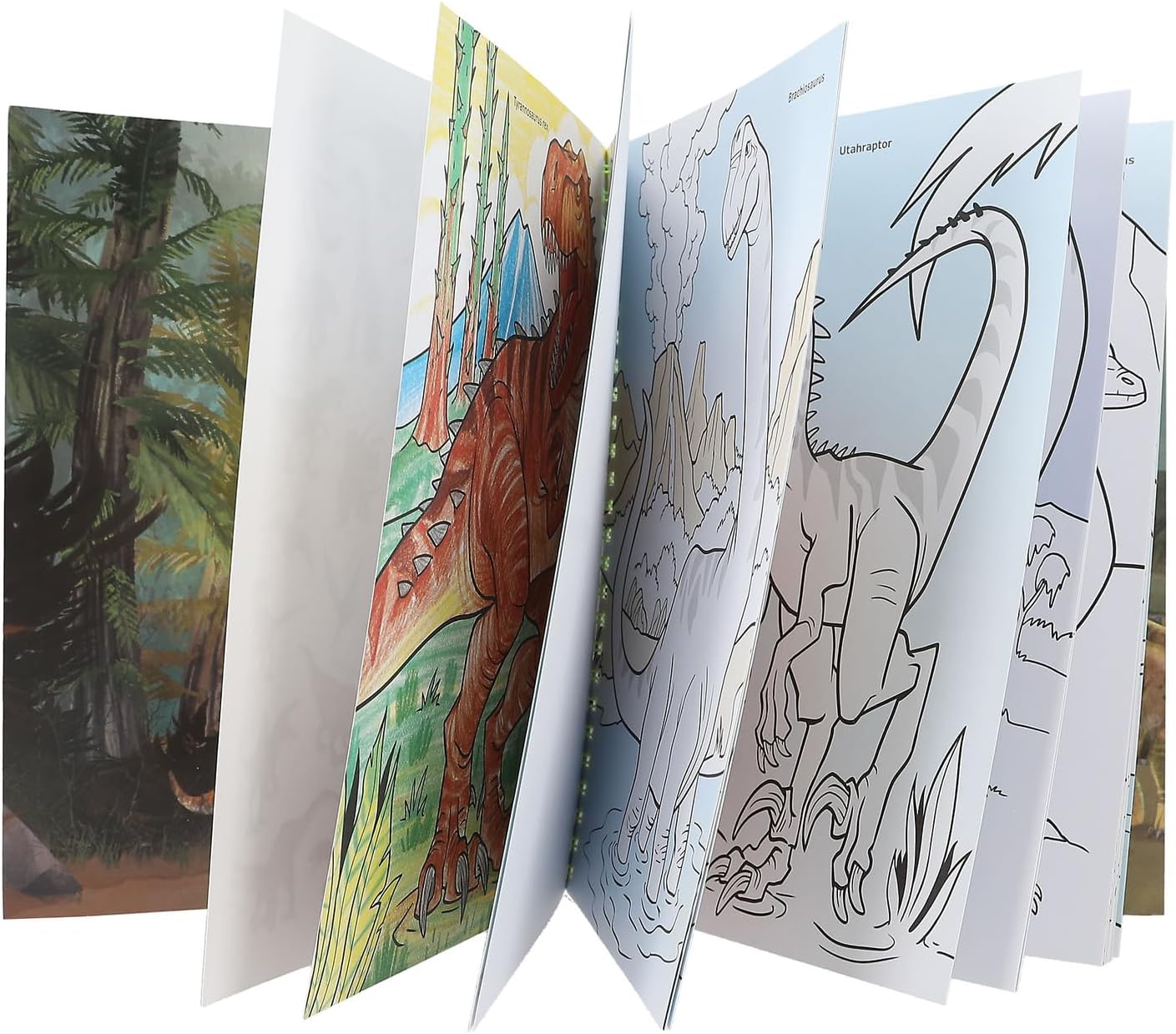 Depesche 12746 Dino World Colouring Book with 30 Pages for Colouring Dinosaur Designs Including 8 Coloured Pencils in Case, Paper, Multicolour, One Size