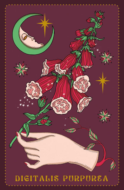 Herbarium Oracle Cards