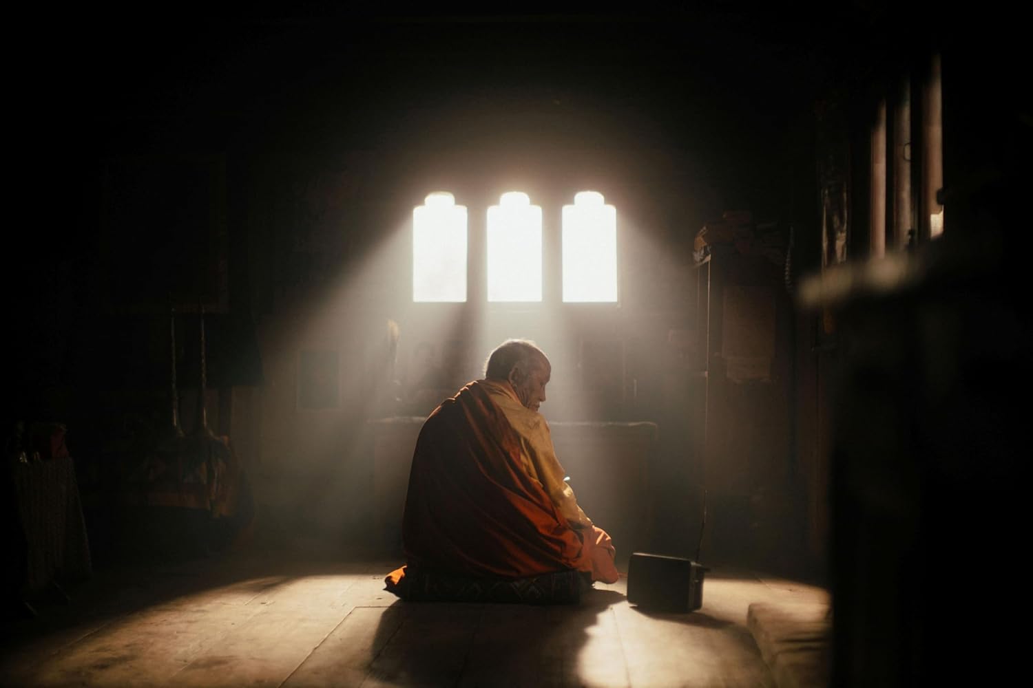 DORJI, PAWO CHOYNING - WAS WILL DER LAMA MIT DEM GEWEHR?