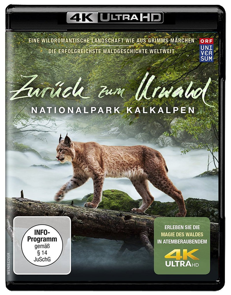 Zurück zum Urwald Ultra HD (4K)