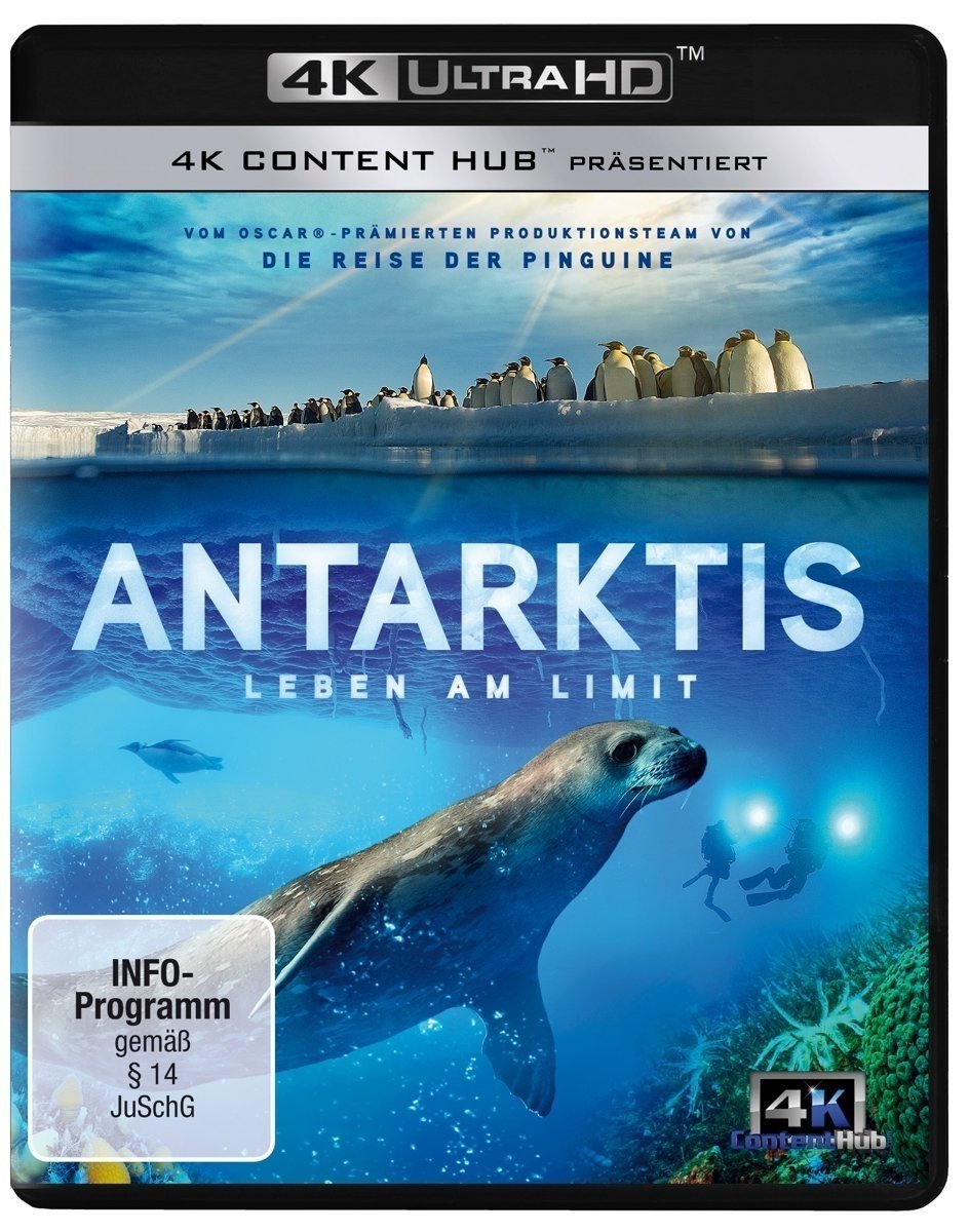 Antarktis - Leben am Limit (4K Ultra-HD)