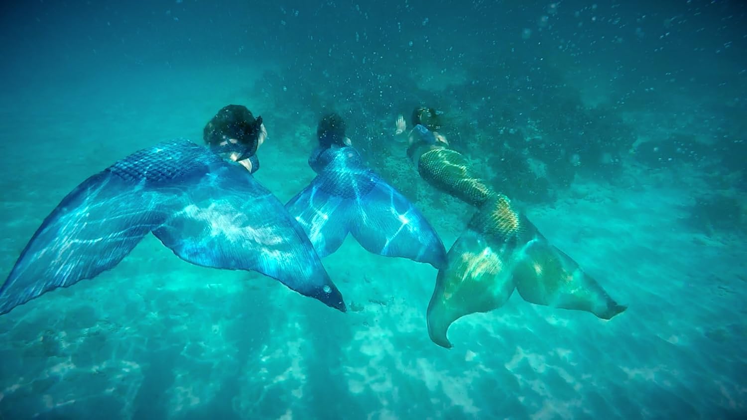 Mermaids - Meerjungfrauen in Gefahr