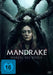 Mandrake-Wurzel des Bösen