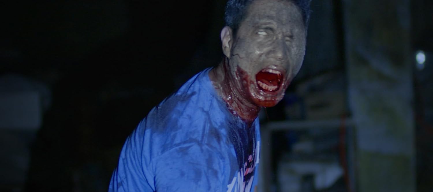 Day Zero - Limitiertes Mediabook (Dvd + Bd), Cover B