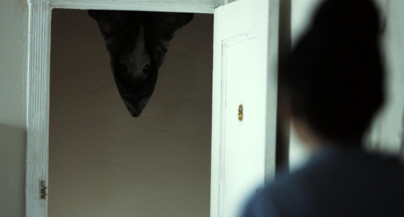 The Harbinger - Träume des Grauens