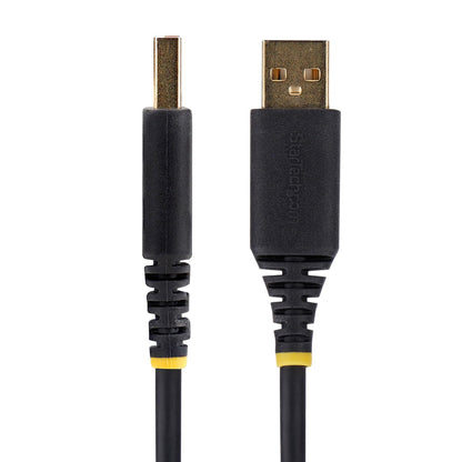 StarTech.com 2ft (60cm) 2-Port USB to Serial Adapter Cable, COM Retention, FTDI, USB to DB9 RS232, Changeable DB9 Screws/Nuts