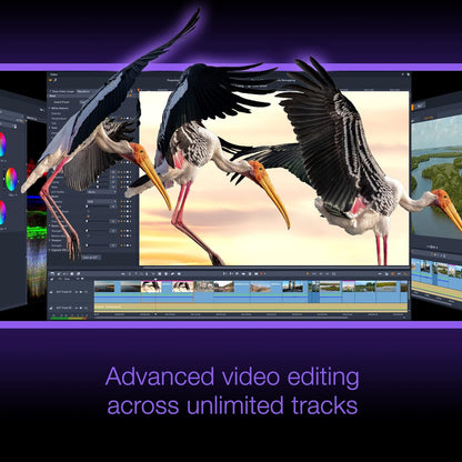 Enjoy pro-level video editing across unlimited tracks with the complete control precision and boosted performance of Pinnacle Stud