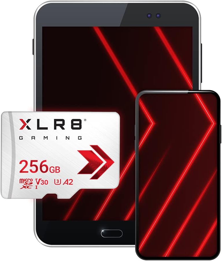 FC 256GB XLR8 Gaming Class 10 U3 V30