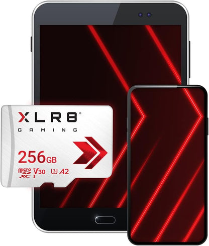 FC 256GB XLR8 Gaming Class 10 U3 V30