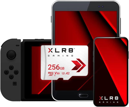 FC 256GB XLR8 Gaming Class 10 U3 V30