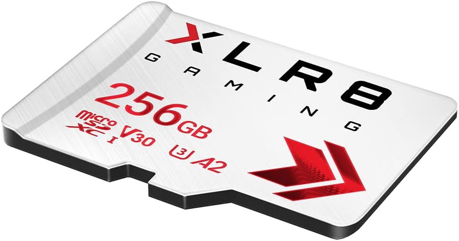 FC 256GB XLR8 Gaming Class 10 U3 V30