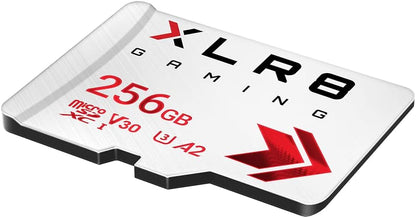 FC 256GB XLR8 Gaming Class 10 U3 V30