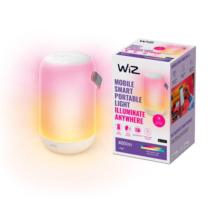 Wiz Wi-Fi BLE True Portable UK Type G
