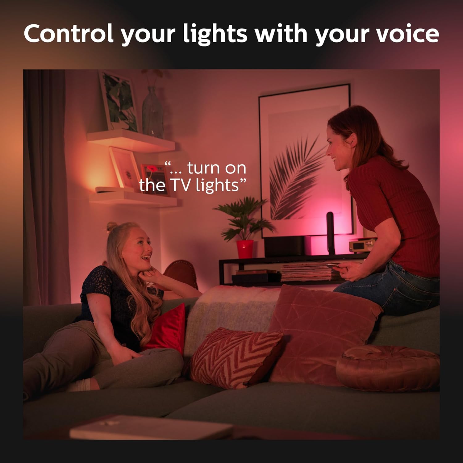 Philips Hue White And Colour Ambiance Play Light Bar Twin Pack And Bridge