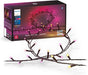 Philips Hue Festavia Smart String Lights