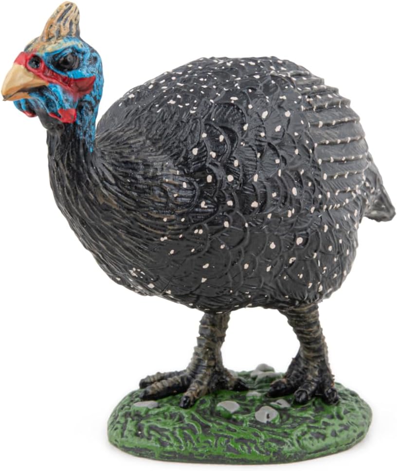 PAPO - Guinea Fowl Figurine - Animal World - Collectible - For girls and boys from 10 months