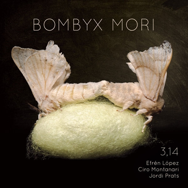 Bombyx Mori