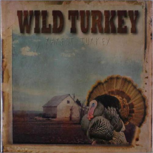 wild turkey: rarest turkey