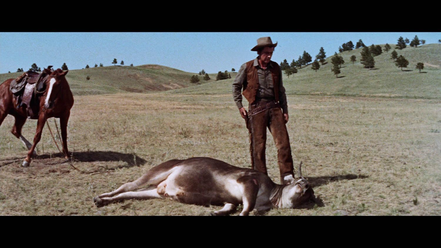 Die letzte Jagd (Edition Western-Legenden #64