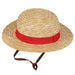 One Piece Straw Hat