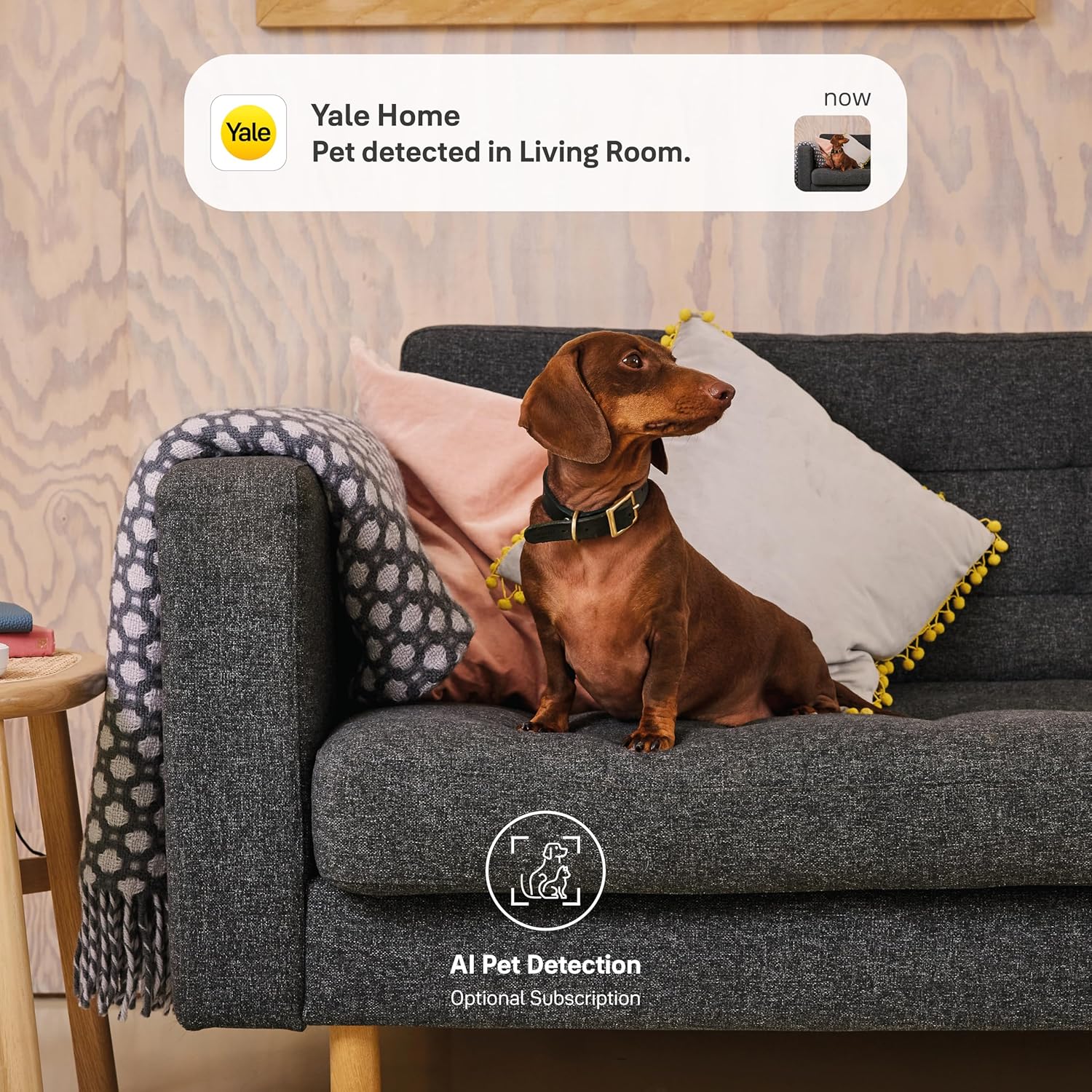 Yale Smart Indoor Camera