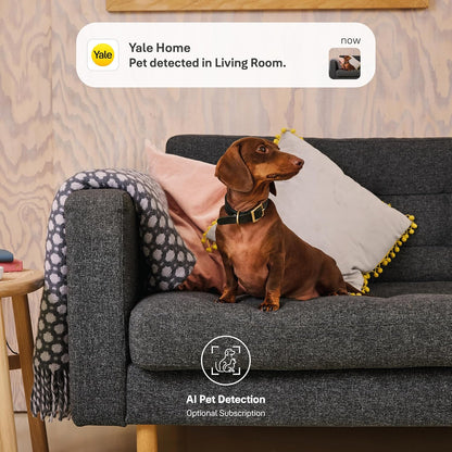 Yale Smart Indoor Camera