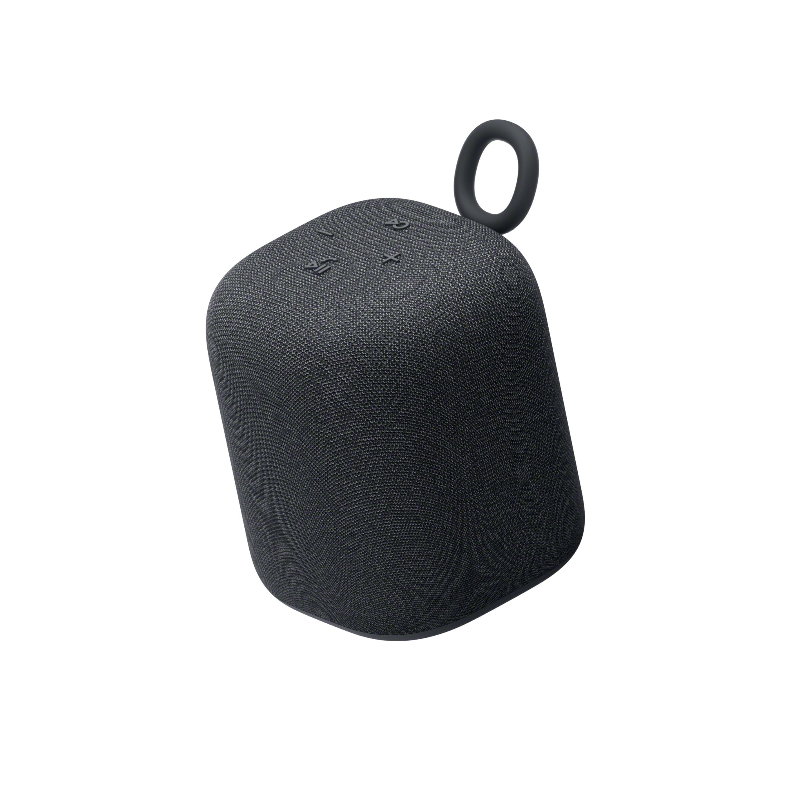 LinkBuds Wireless Portable Speaker Black