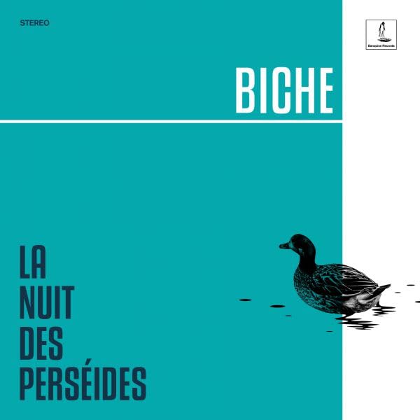 La Nuit des Perseides