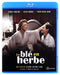 Le blé en herbe