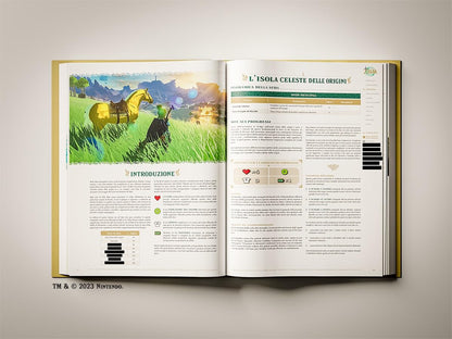 The Legend Of Zelda: Tears Of The Kingdom Guida Standard