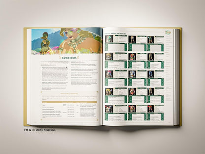The Legend Of Zelda: Tears Of The Kingdom Guida Standard