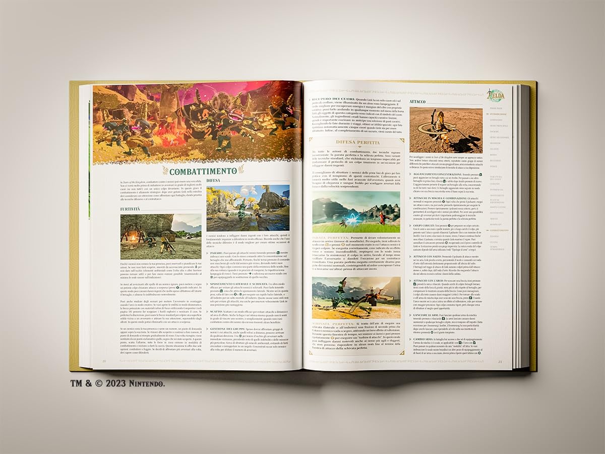The Legend Of Zelda: Tears Of The Kingdom Guida Standard