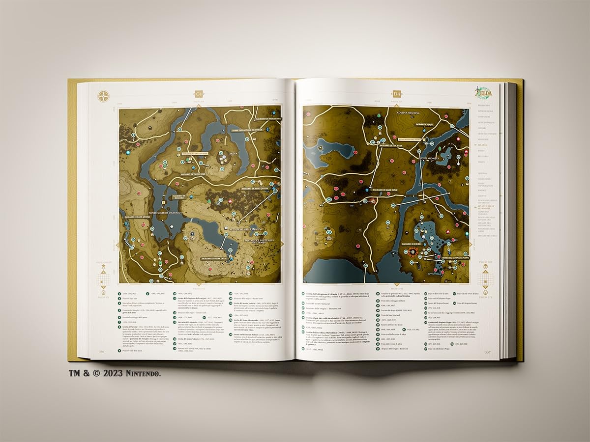 The Legend Of Zelda: Tears Of The Kingdom Guida Standard