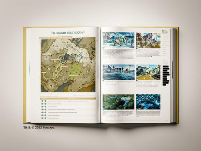 The Legend Of Zelda: Tears Of The Kingdom Guida Standard