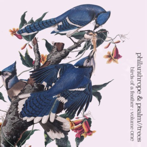 Birds of a Feather Volume 1