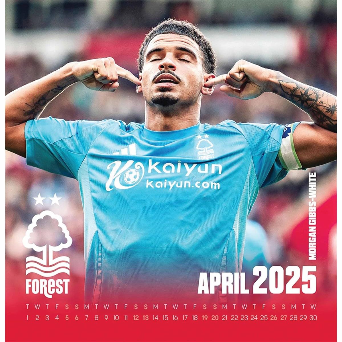 The Official Nottingham Forest FC Desk Calendar 2025