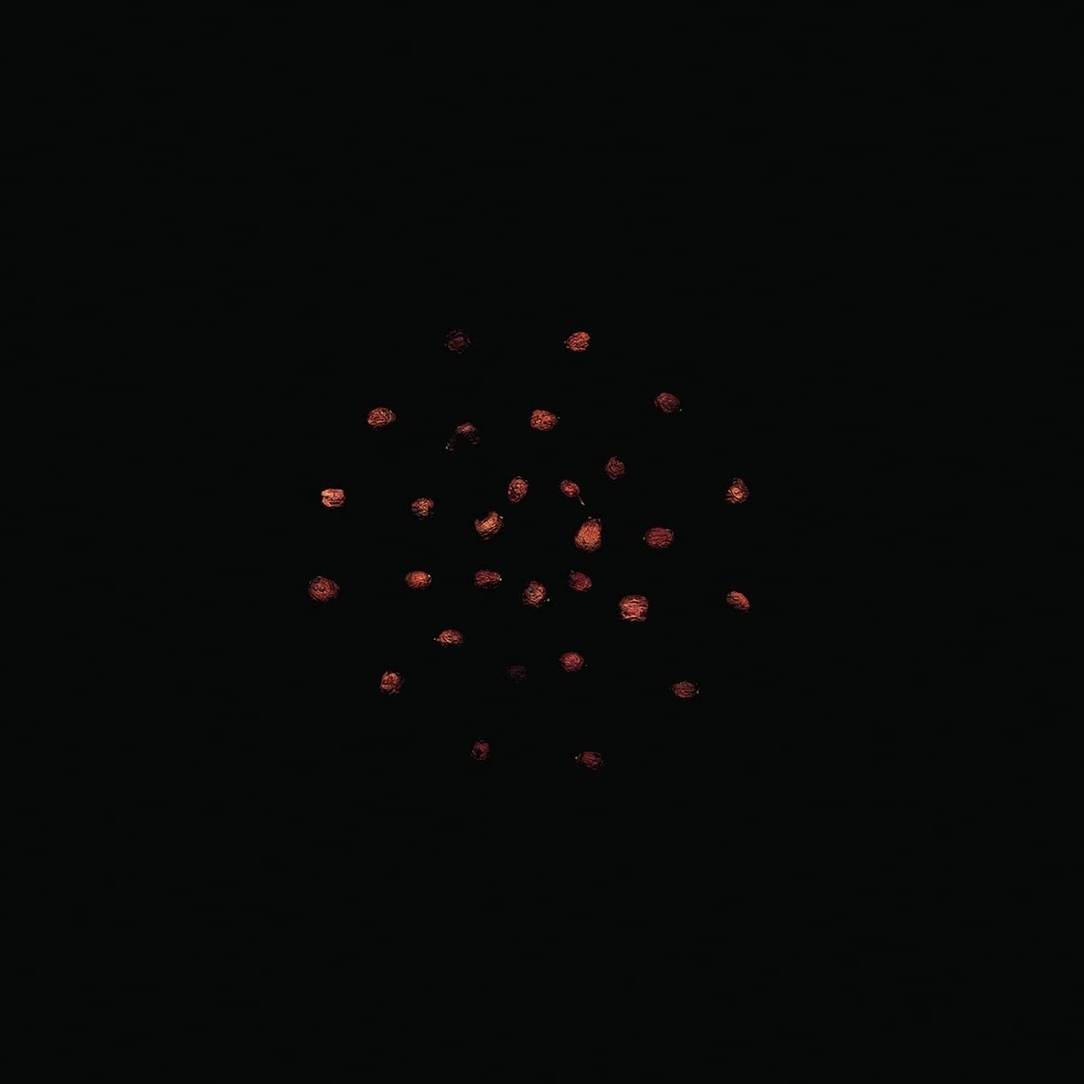 Zoviet*France - 7.10.12 (2 Lp)