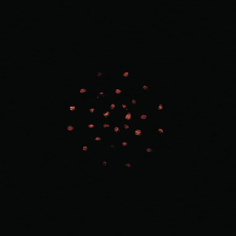 Zoviet*France - 7.10.12 (2 Lp)