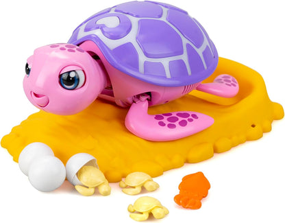Silverlit - Rescue Turtle Assortment (88633)